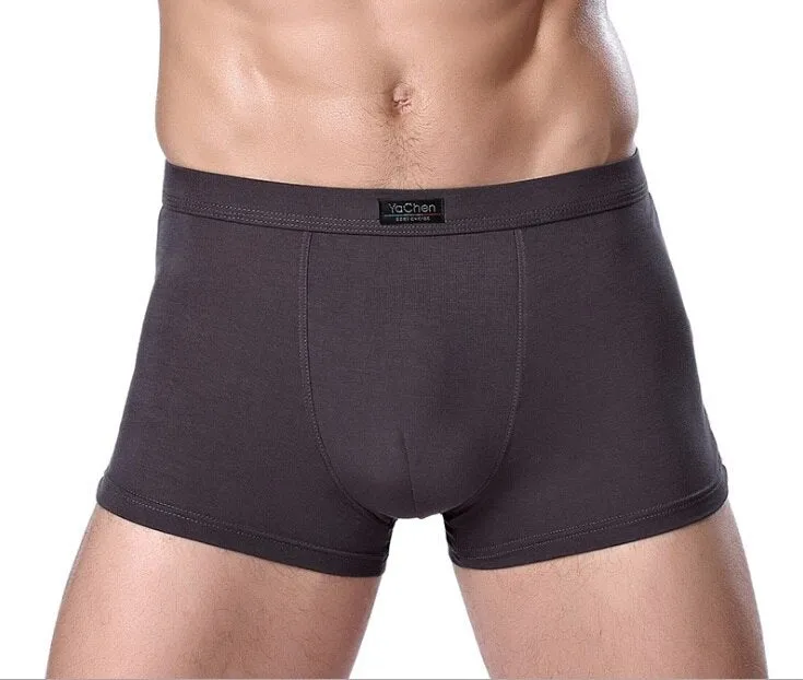 Jinquedai  Brand Clothing Mens Underwear Boxer bamboo fiber Casual Male Men's Short Man Underpants Solid Color 1 piece