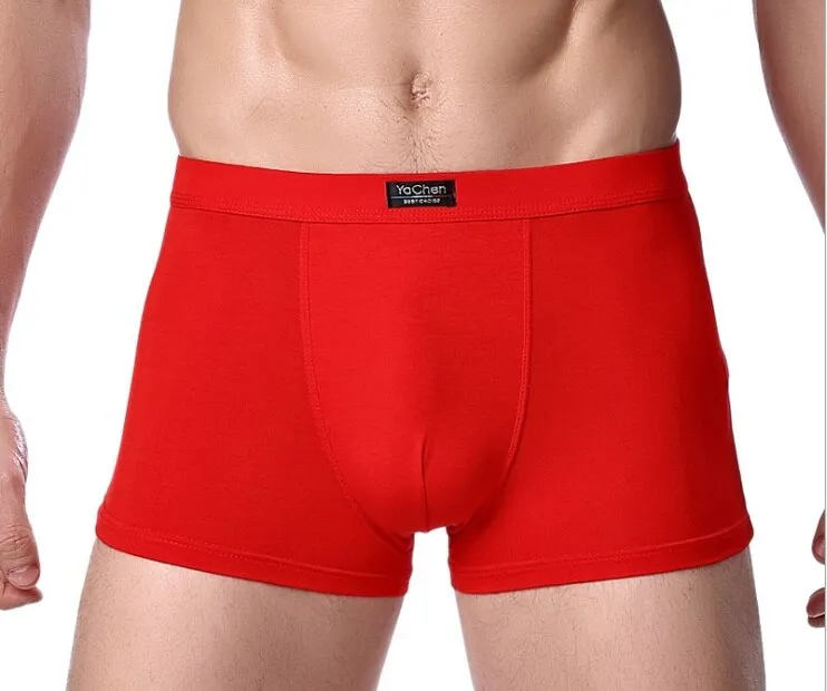 Jinquedai  Brand Clothing Mens Underwear Boxer bamboo fiber Casual Male Men's Short Man Underpants Solid Color 1 piece