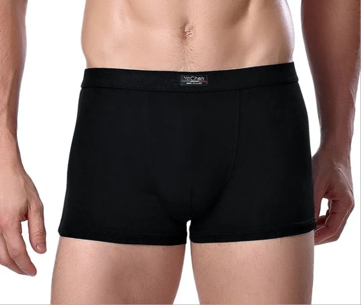 Jinquedai  Brand Clothing Mens Underwear Boxer bamboo fiber Casual Male Men's Short Man Underpants Solid Color 1 piece