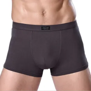 Jinquedai  Brand Clothing Mens Underwear Boxer bamboo fiber Casual Male Men's Short Man Underpants Solid Color 1 piece