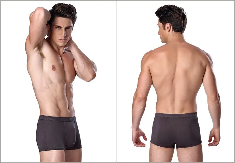 Jinquedai  Brand Clothing Mens Underwear Boxer bamboo fiber Casual Male Men's Short Man Underpants Solid Color 1 piece