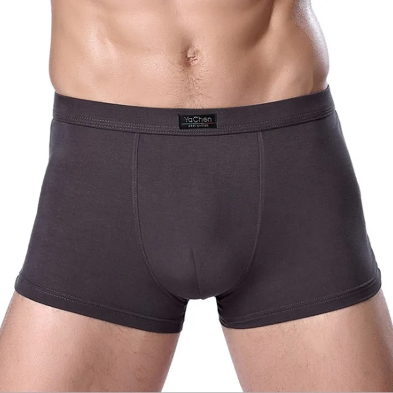 Jinquedai  Brand Clothing Mens Underwear Boxer bamboo fiber Casual Male Men's Short Man Underpants Solid Color 1 piece