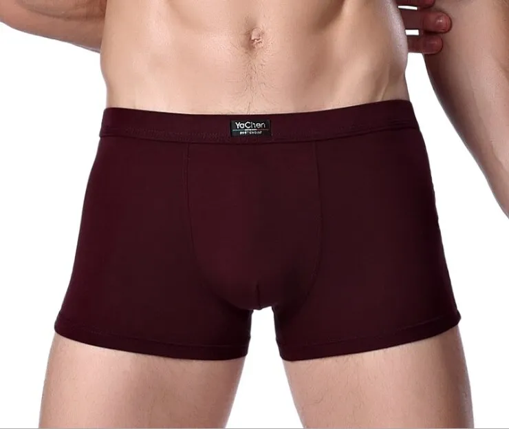 Jinquedai  Brand Clothing Mens Underwear Boxer bamboo fiber Casual Male Men's Short Man Underpants Solid Color 1 piece