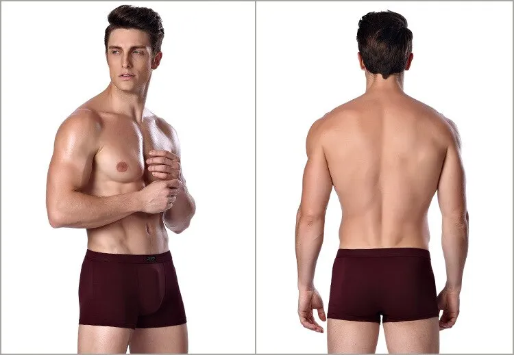 Jinquedai  Brand Clothing Mens Underwear Boxer bamboo fiber Casual Male Men's Short Man Underpants Solid Color 1 piece
