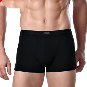 Men's Underwear Boxers Underpants Briefs