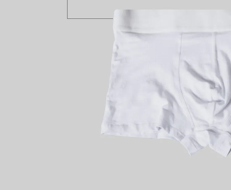 ORLVS Mesh MIke Fiber Cotton Boxershorts Men Comforable Panties Set Gay Sexy Underwear Man Boxer 9Color Free ShippingM/L/XL/XXL