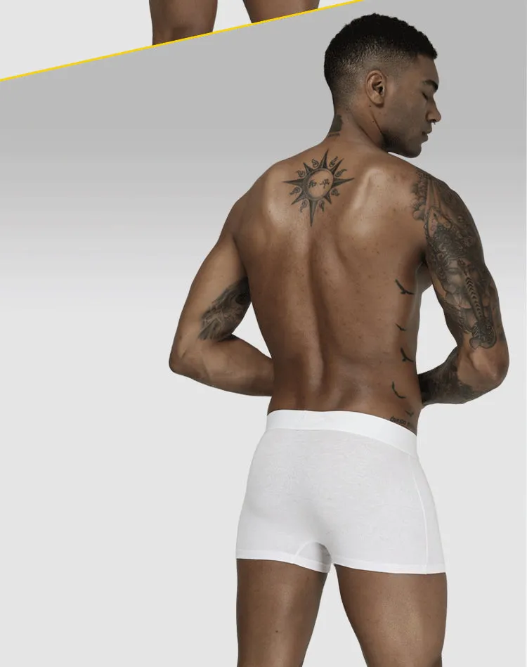 ORLVS Mesh MIke Fiber Cotton Boxershorts Men Comforable Panties Set Gay Sexy Underwear Man Boxer 9Color Free ShippingM/L/XL/XXL