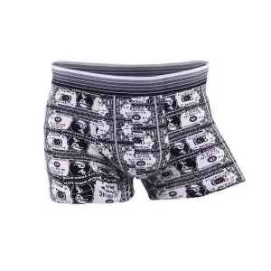 Underwear, Men's Boxer Shorts, Money Print